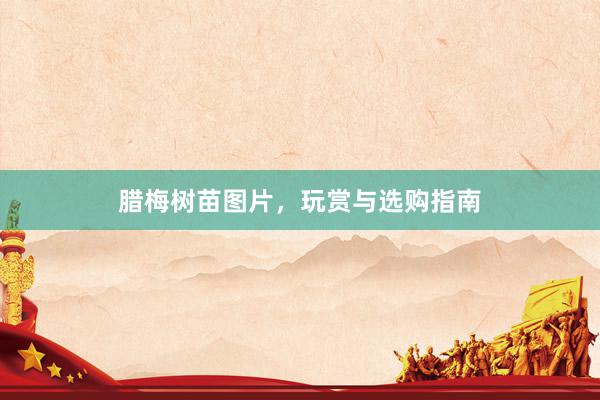 腊梅树苗图片，玩赏与选购指南
