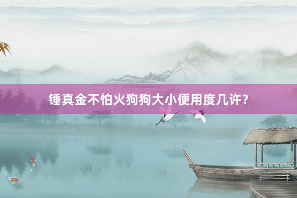 锤真金不怕火狗狗大小便用度几许？